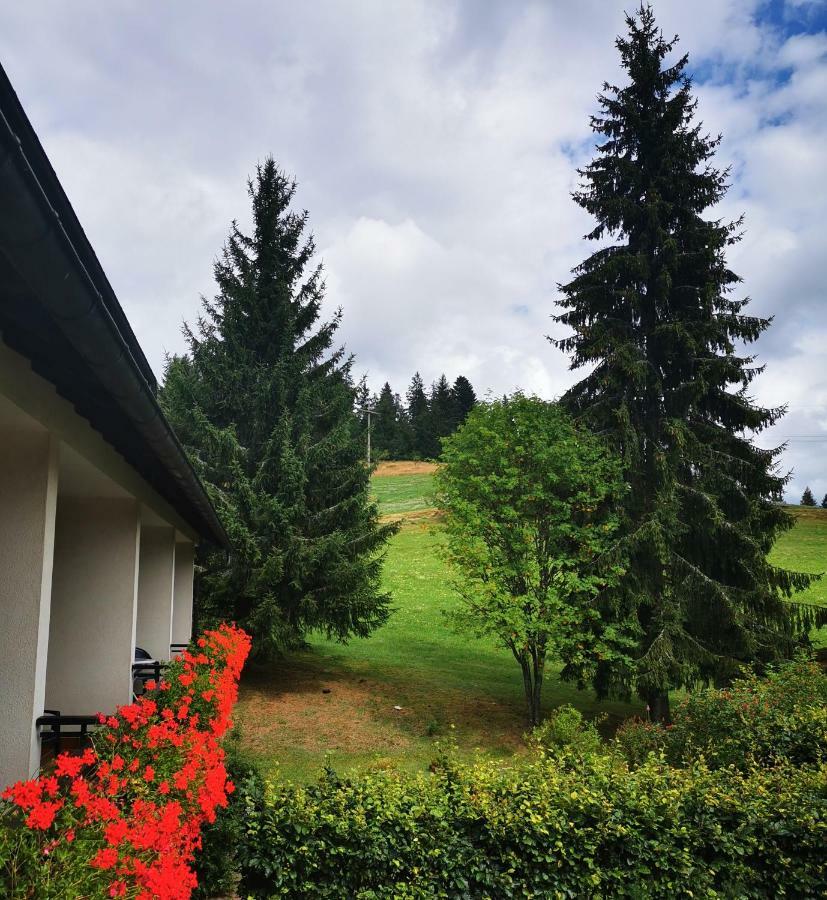 Schwarzwaldgasthof Hotel Hirschen Ibach Esterno foto